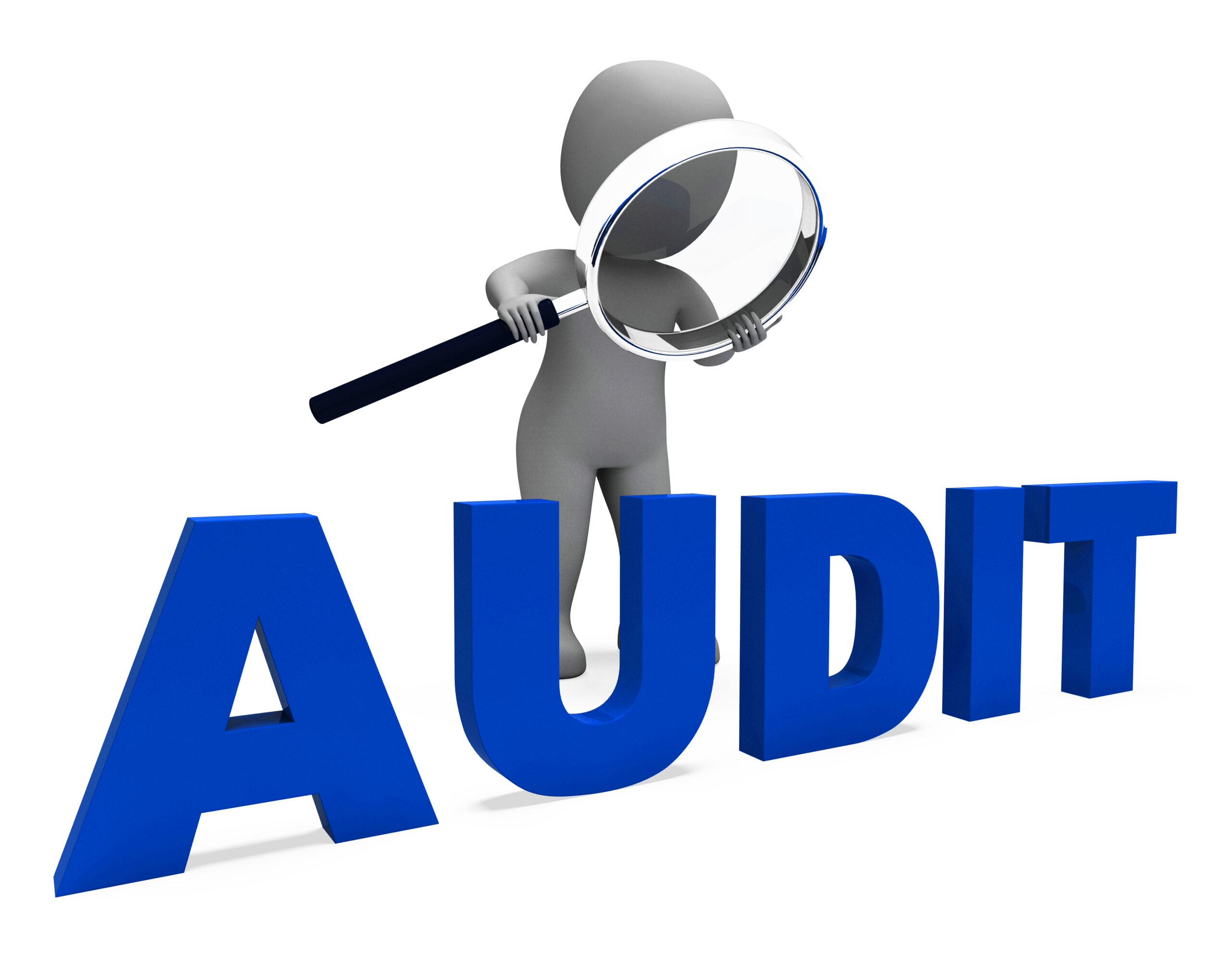 Procurement Questionnaires are an audit feature